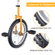 TheDisplayOutlet 16 inch Unicycle Kids Unicycle Image