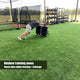 TheDisplayOutlet Artificial Gym Turf for Sled Workouts & Agility (1 3/8"H Pile) Image