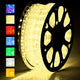 TheDisplayOutlet 150' LED Rope Light Outdoor Waterproof Image