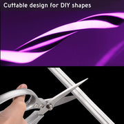 Outdoor Rope Light RGB Light Strip App Music Sync RF Remote