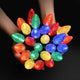 TheDisplayOutlet C9 Light Bulbs with E17 Base UL Certified 25ct/pk Image