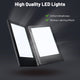 LED Backlit Menus Illuminated with Adaptor