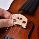 TheDisplayOutlet Violin Full Set Replacement (2x) Bridge & (3x) Strings GDAE Image
