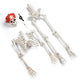 TheDisplayOutlet 5'5" Full Body Cowboy Pirate Skeleton Posable Halloween Decoration Image