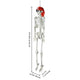 5'5" Full Body Cowboy Pirate Skeleton Posable Halloween Decoration