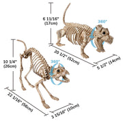 TheDisplayOutlet Animal Skeleton Halloween Decorations Image