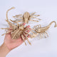 TheDisplayOutlet Animal Skeleton Halloween Decorations, Spider+Scprpion Image