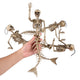 TheDisplayOutlet Animal Skeleton Halloween Decorations, Mermaid 4ct/pk Image
