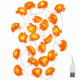 TheDisplayOutlet 20' Marigold Lights 40 LEDs Halloween Garland Day of Dead, 2ct. Image