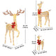 TheDisplayOutlet 3pcs Lighted Deer Christmas Outdoor Decoration Image