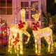 TheDisplayOutlet 3pcs Lighted Deer Christmas Outdoor Decoration Image