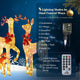 TheDisplayOutlet 3pcs Lighted Deer Christmas Outdoor Decoration Image