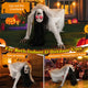 TheDisplayOutlet Halloween Animated Crawling Woman Decoration Sound Motion Image