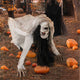 TheDisplayOutlet Halloween Animated Crawling Woman Decoration Sound Motion Image