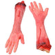 TheDisplayOutlet 5 Pcs Broken Scary Hands Foot Leg Set Halloween Decoration Image
