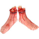 TheDisplayOutlet 5 Pcs Broken Scary Hands Foot Leg Set Halloween Decoration Image