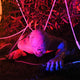 Life-Size Halloween Props Grovelling Torso Crawling Zombie