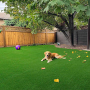 Green Indoor Outdoor Grass Carpet Roll 3/8" Pile Height