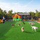 Artificial Turf Rolls for Playground Backyard 3/8" Pile Height