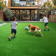 Artificial Turf Rolls for Playground Backyard 13/16" Pile Height