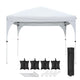 TheDisplayOutlet 10'x10' Pop Up Canopy with Vent Weight Bags Rolling Bag, Greyish White Image