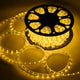 TheDisplayOutlet Outdoor Rope Light - 120V Plug-in, 1/2"(13mm), 3000K, 100ft Image