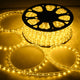TheDisplayOutlet Outdoor Rope Light - 120V Plug-in, 1/2"(13mm), 3000K, 150ft Image