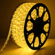 TheDisplayOutlet Outdoor Rope Light - 120V Plug-in, 1/2"(13mm), 3000K Image