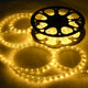 TheDisplayOutlet Outdoor Rope Light - 120V Plug-in, 1/2"(13mm), 3000K, 50ft Image