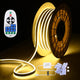 Flexible Warm White Neon Rope Light 50' RF Remote