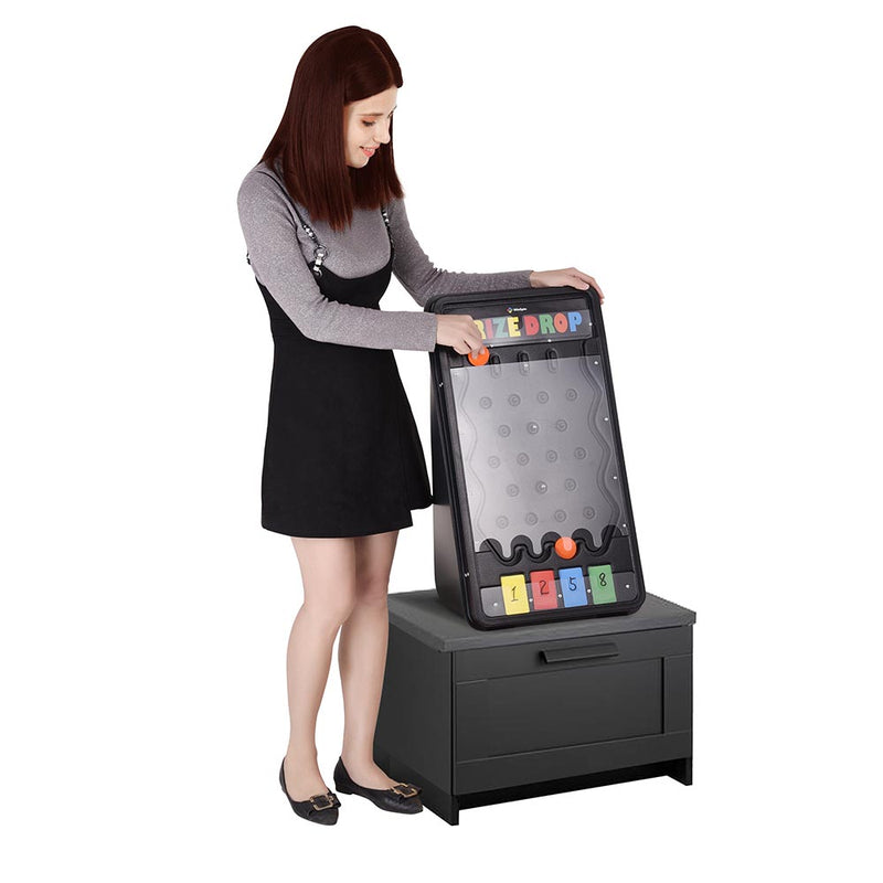 TheDisplayOutlet WinSpin Plinking Prize Drop Board & Pucks Size Options, 25x14in Image