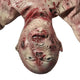 Life-Size Halloween Props Severed Skinned Hanging Torso