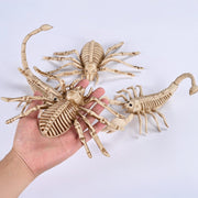 Animal Skeleton Halloween Decorations