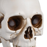 Skull Decor Halloween Set of 4
