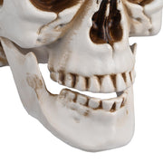 Skull Decor Halloween Set of 4