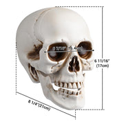 Skull Decor Halloween Set of 4