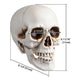 Skull Decor Halloween Set of 4