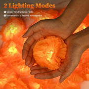 TheDisplayOutlet 10' Marigold Lights 20 LEDs Halloween Garland Day of Dead, 2ct. Image