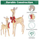 Outdoor Lighted Reindeer for Yard, 2-piece(Doe & Fawn)