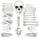TheDisplayOutlet 28 pc Set Bag of Skeleton Bones Haunted Halloween Decoration Image