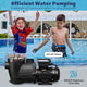 3/4 HP Spa & Pool Pump Above Ground 2640GPH